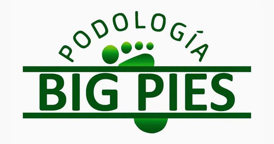 logo big pies